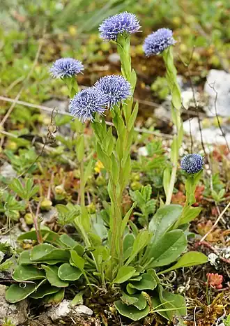 alternativní popis obrázku chybí