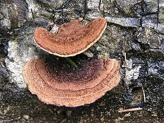 alternativní popis obrázku chybí