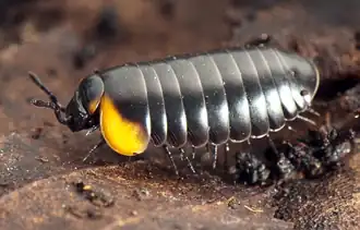 alternativní popis obrázku chybí