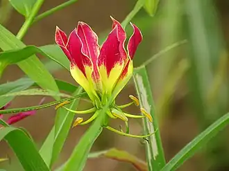 alternativní popis obrázku chybí