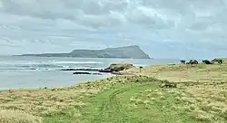 Pohled na ostrov Rangatira z Pittova ostrova