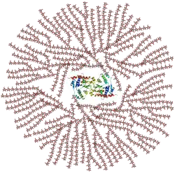 Granule glykogenu, v centru je protein, na nějž navázány polysacharidové části