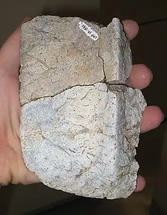 popis obrázku chybí