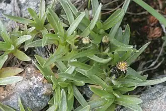 alternativní popis obrázku chybí