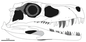 alternativní popis obrázku chybí