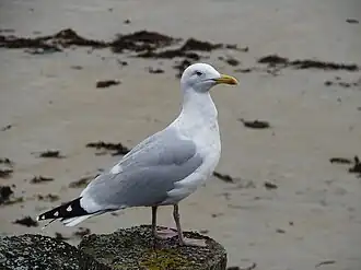 alternativní popis obrázku chybí