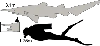 alternativní popis obrázku chybí