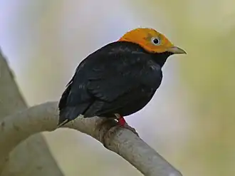 alternativní popis obrázku chybí