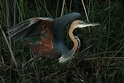 alternativní popis obrázku chybí