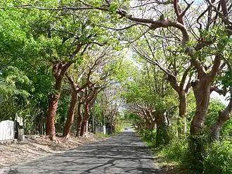 alternativní popis obrázku chybí