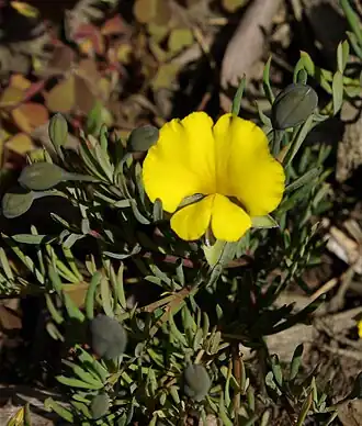 alternativní popis obrázku chybí