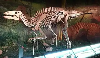 alternativní popis obrázku chybí