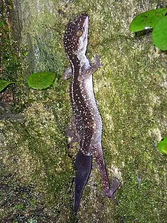 popis obrázku chybí