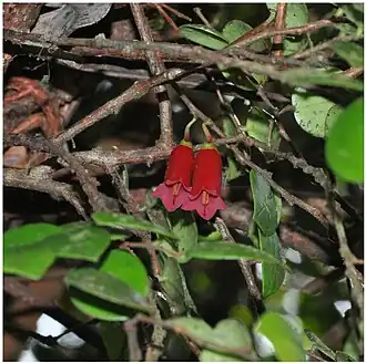 alternativní popis obrázku chybí