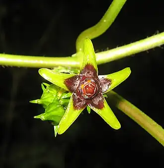 alternativní popis obrázku chybí