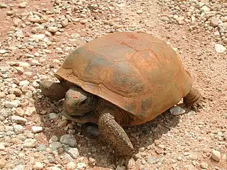 alternativní popis obrázku chybí