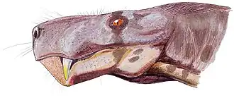 alternativní popis obrázku chybí