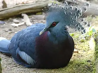 alternativní popis obrázku chybí