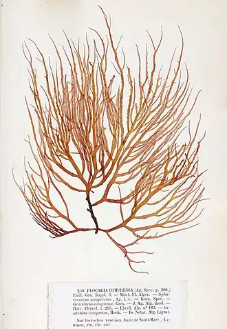 alternativní popis obrázku chybí