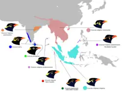 Areál rozšíření