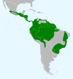 Areál rozšíření