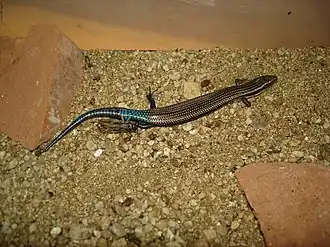 alternativní popis obrázku chybí