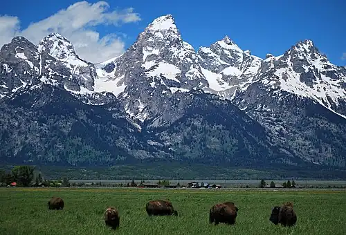 Grand Teton ve středu, Nez Perce vlevo, Mount Owen vpravo