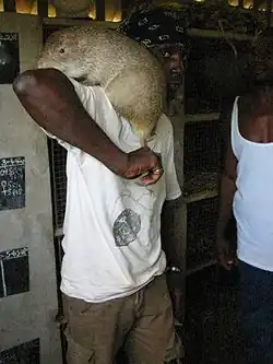 alternativní popis obrázku chybí