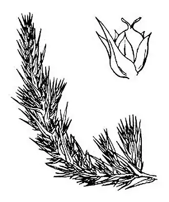 alternativní popis obrázku chybí