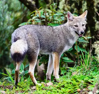 alternativní popis obrázku chybí