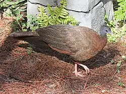 alternativní popis obrázku chybí