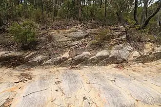 Trestanecká silnice, hora McQuoid, Velká severní silnice, Bucketty, NSW.