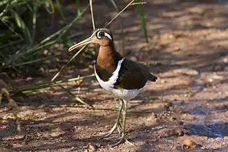 alternativní popis obrázku chybí