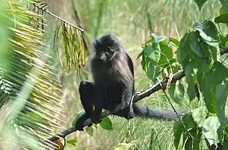 alternativní popis obrázku chybí