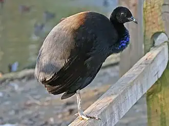 alternativní popis obrázku chybí