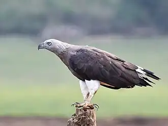 alternativní popis obrázku chybí