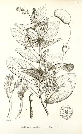 alternativní popis obrázku chybí