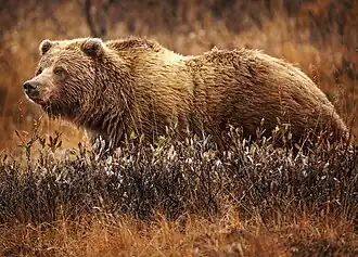 alternativní popis obrázku chybí