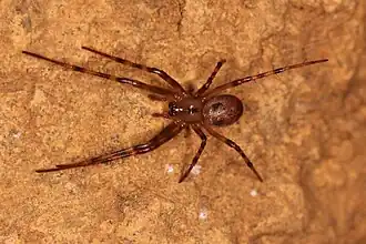 alternativní popis obrázku chybí