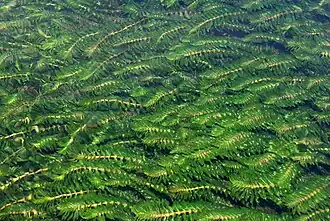 alternativní popis obrázku chybí