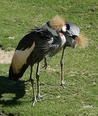 alternativní popis obrázku chybí