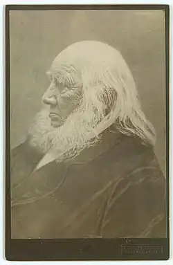 Nikolaj Frederik Severin Grundtvig, 1872