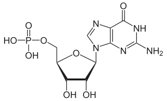 Chemická struktura guanosinmonofosfátu