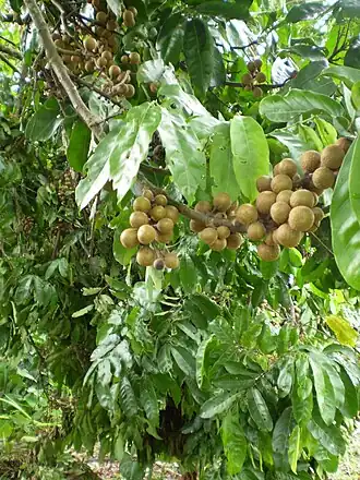 alternativní popis obrázku chybí