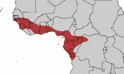 Areál rozšíření