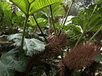 alternativní popis obrázku chybí