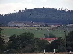 Statek v Guntramovicích.