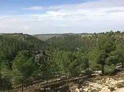 Celkový pohled na Gva'ot a okolní lesní komplex ze silnice číslo 367, listopad 2018