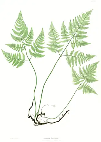 alternativní popis obrázku chybí