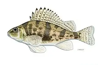 alternativní popis obrázku chybí